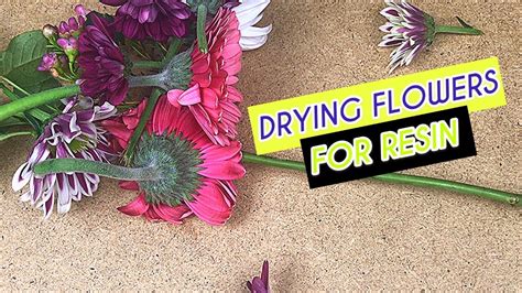 how to dry flowers for resin quickly